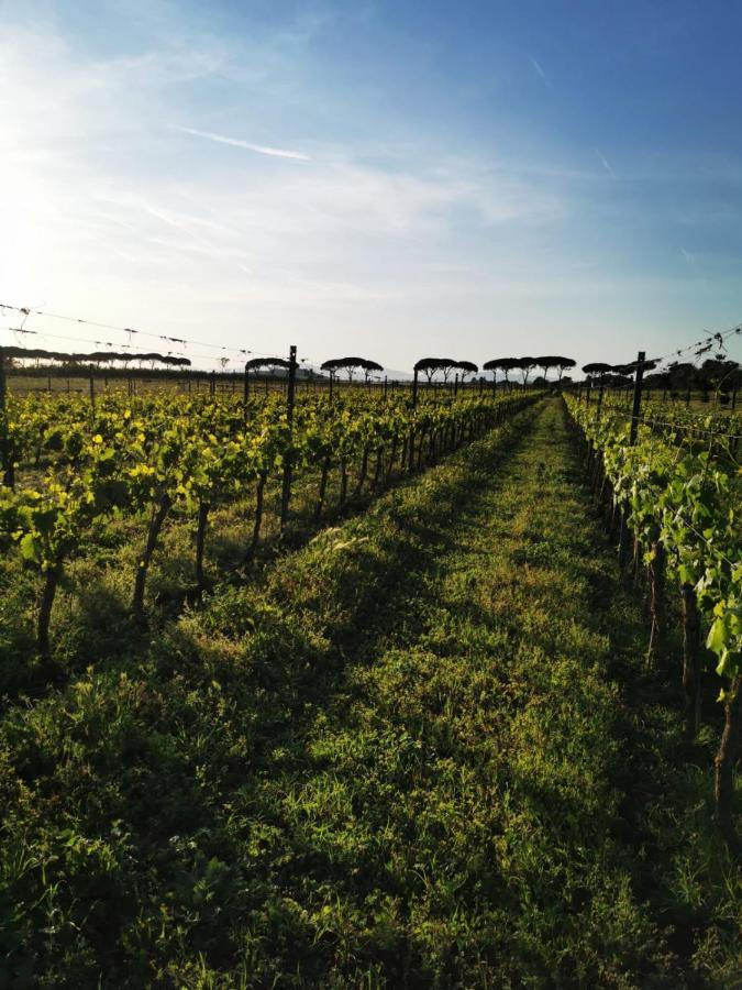 Podere Montecorno Villa Alberese Exterior photo